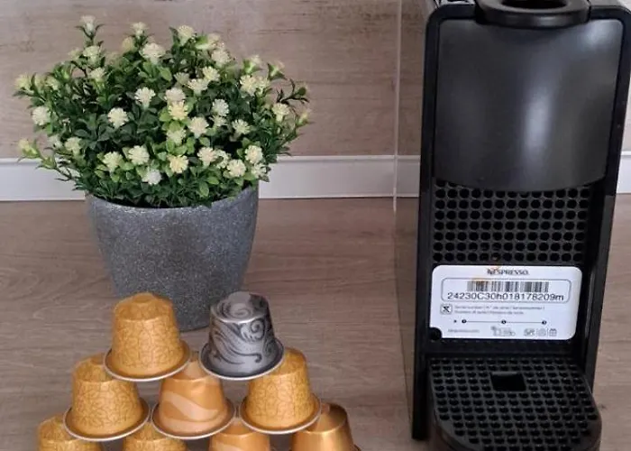 Peppermint Lux Daire Novi Sad